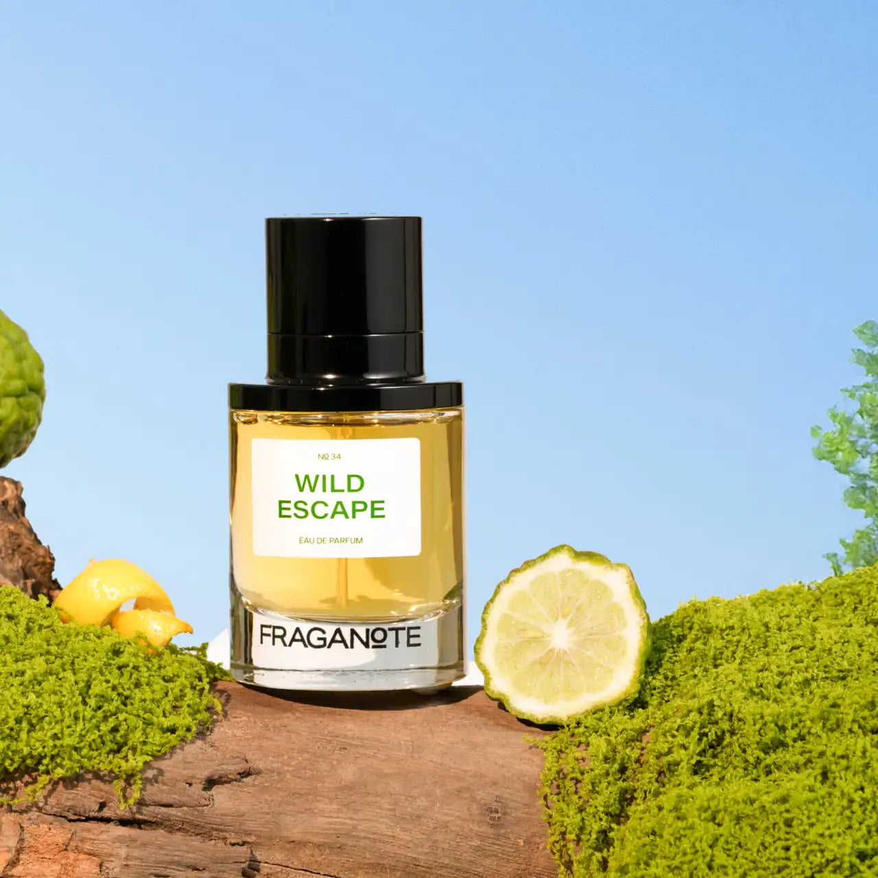 Fraganote Wild Escape perfume for men 50ml packaging